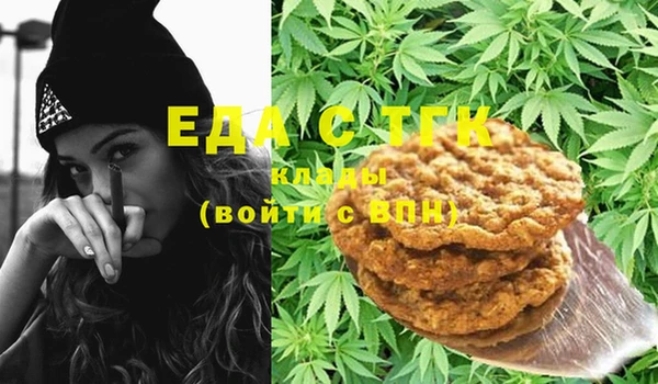 индика Абинск