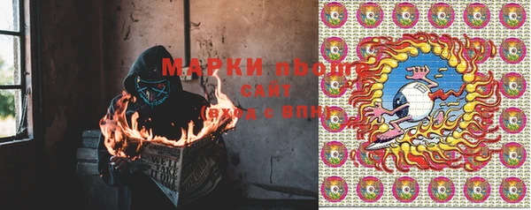 индика Абинск