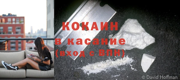индика Абинск