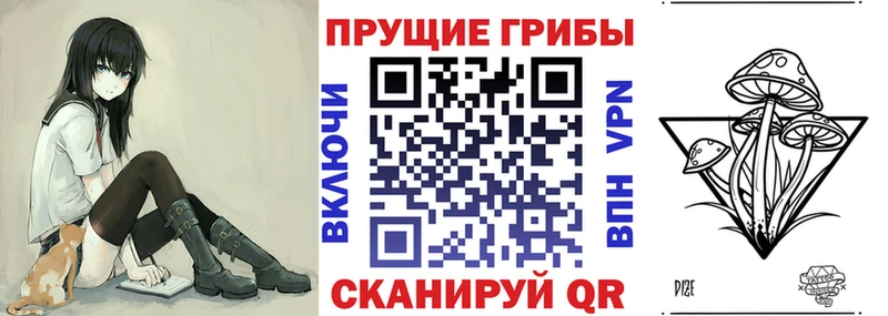купить наркотик  Никольское  Галлюциногенные грибы Magic Shrooms 